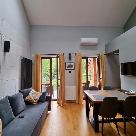 Apartament Dwupoziomowy Z Klimatyzacja Apartment Krynica Zdroj Exterior photo